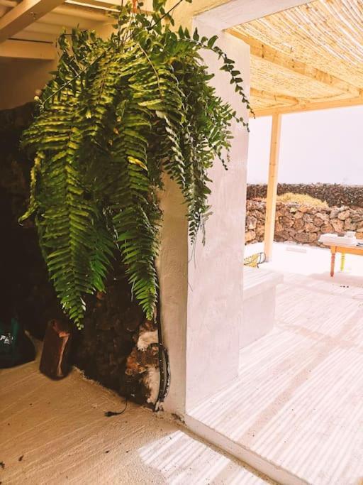 Estudio Con Bano Privado Orzola Dış mekan fotoğraf